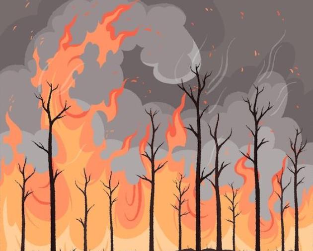 Žolės deginimas – ko derėtu nepamiršti