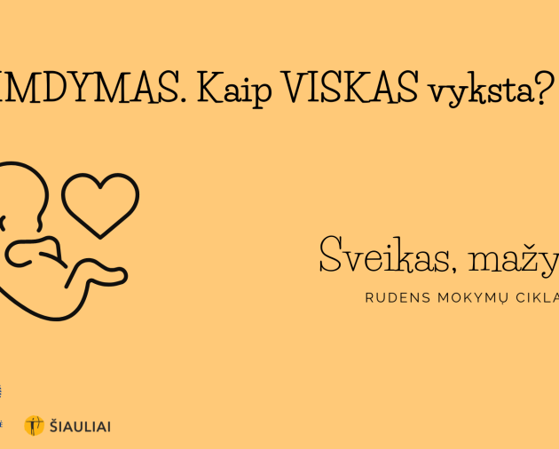 Paskaita "Gimdymas. Kaip viskas vyksta?" (Projektas "Sveikas, mažyliI!")