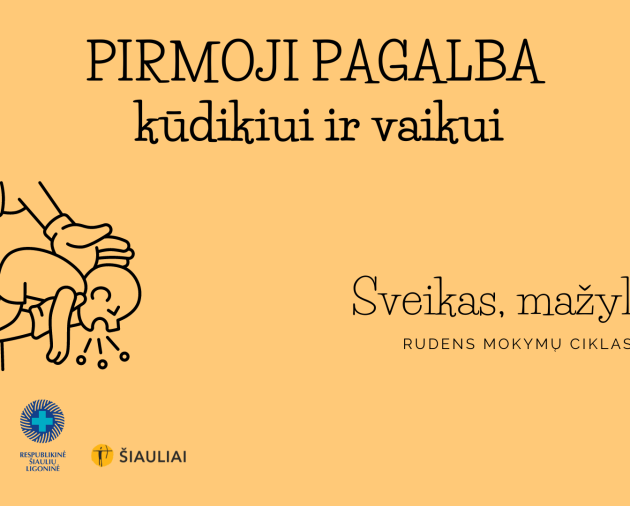 Teorinis-praktinis užsiėmimas "Kaip suteikti pirmąją pagalbą vaikui"