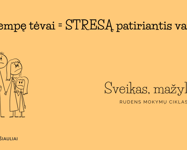 Seminaras „Įsitempę tėvai – stresą patiriantis vaikas“ (Projektas „Sveikas, mažyli!) 