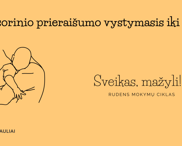 Seminaras „Sensorinio prieraišumo vystymasis iki 3 m. Ką svarbu žinoti“ (Projektas „Sveikas, mažyli!) 