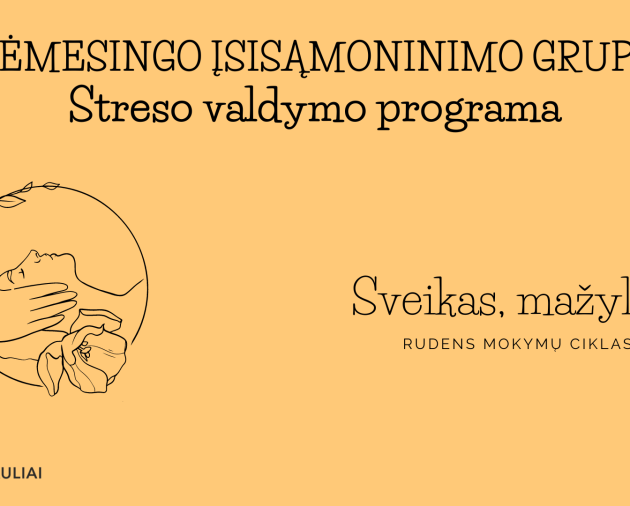 Dėmesingo įsisąmoninimo (mindfulness) streso valdymo grupės įvadinis susitikimas (gyvai) (Projektas "Sveikas, mažyli!")