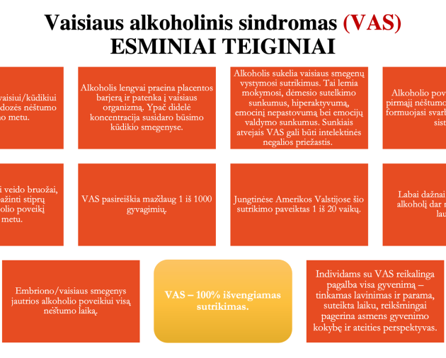 Viena iš krizinio nėštumo priežasčių gali būti alkoholio vartojimas!